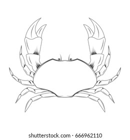 crab, seafood restaurant vector, separately on a white background. store, label. icon