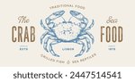 Crab, seafood, sketch. Vintage retro print, seafood crab sketch, logo sign template, ink pencil style drawing, engrave old school. Sketch artwork crab, template sign, logo, symbol. Vector Illustration