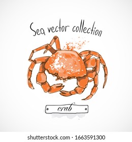 Crab seafood taste for packing or menu watercolor spray seafood poster on white background