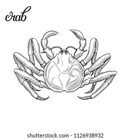Crab. Seafood. Vector illustration. Isolated image on white background. Vintage style.