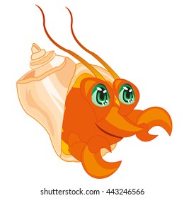 Crab in seashell