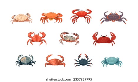 Crab set flat cartoon isolated on white background. Vector isometric  illustration