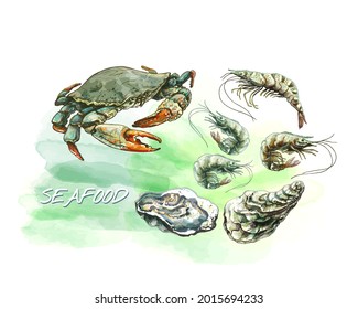 crab, set of shrimps, oysters, shells, fresh, live seafood, on the background of watercolor stains of the sea