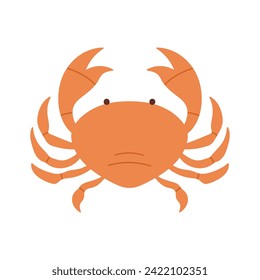 Crab with shell and claws, top view of fresh or cooked seafood vector illustration