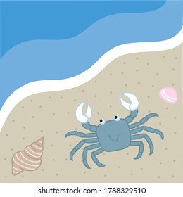 
Crab and shellfish on the beach