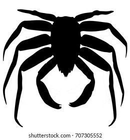 crab silhouette