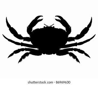 Crab Silhouette