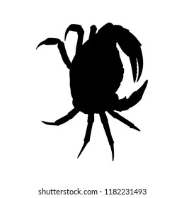 Crab silhouette vector. Animal in black and white concept.