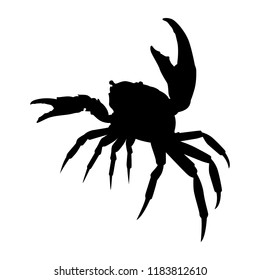 Crab silhouette vector. Animal in black and white concept.