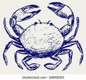 Crab Sketch