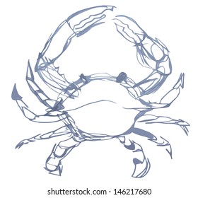 Crab In Sketch