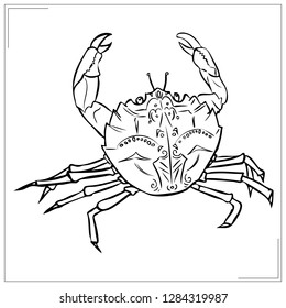 crab sketch - coloring page