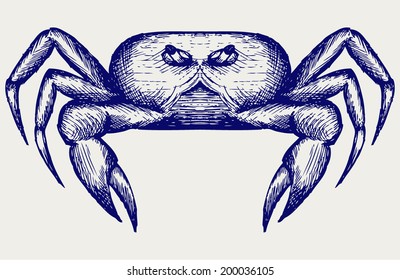 Crab sketch. Doodle style