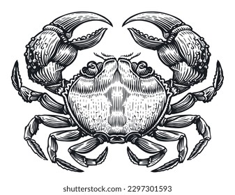 Crab in sketch engraving vintage style for menu or label design. Seafood, hand drawn vector illustration