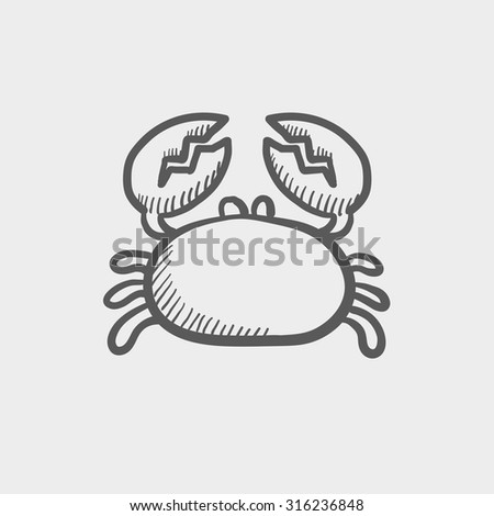 Beach crab on hand Seafood