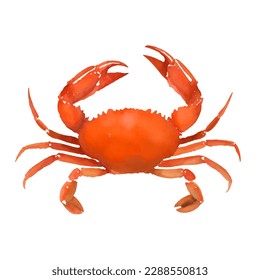 crab with style hand drawn digital painting illustration