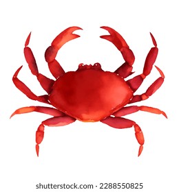 crab with style hand drawn digital painting illustration