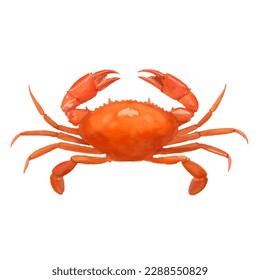 crab with style hand drawn digital painting illustration
