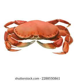 crab with style hand drawn digital painting illustration