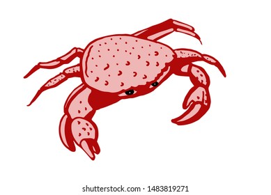 Crab. Stylized line drawing. Color illustration