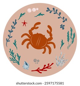 Crab surrounded by coral, starfish, algae, seaweed in a circle. Illustration in nautical style.