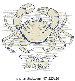 Crab. Trend print for T-shirt. Sea life. Inhabitants of the seas.