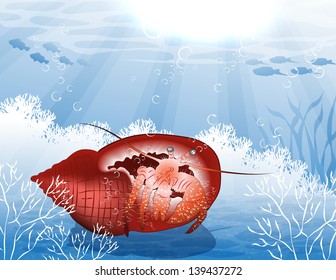 crab underwater
