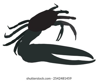 Crab vector art, graphics crabs icon, vintage illustration crab clipart, silhouette vector crabs flat style artwork design