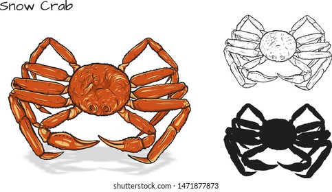 Crab vector by hand drawing crab silhouette white background Snow Crabs art highly detailed in line art style Animal pictures for coloring