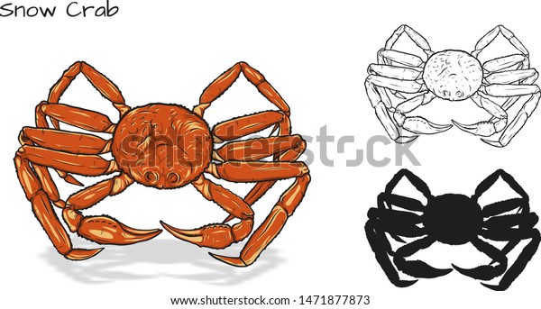 Crab vector by hand drawing.crab silhouette on\
white background.Snow Crabs art highly detailed in line art\
style.Animal pictures for\
coloring