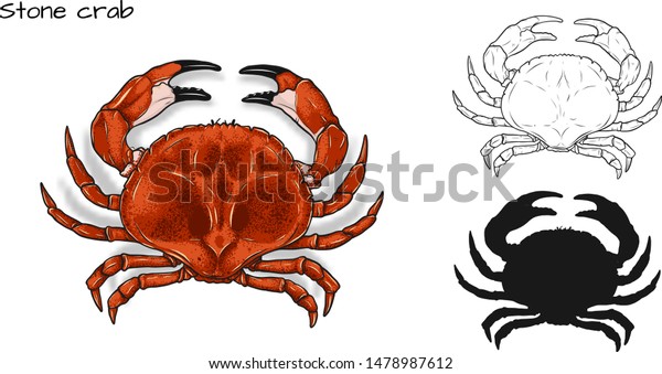 Crab vector by hand drawing.crab silhouette on\
white background.Stone Crabs art highly detailed in line art\
style.Animal pictures for\
coloring