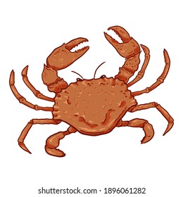 Crab Vector Cartoon Illustration on White Background