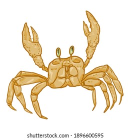 Ilustración de la caricatura del vector del cangrejo sobre fondo blanco