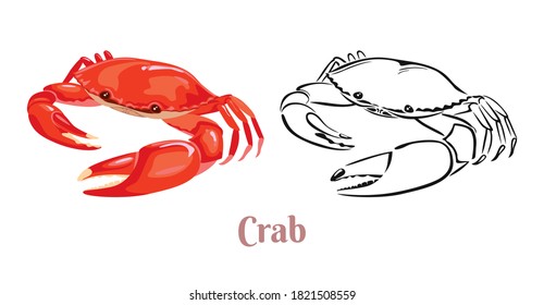 Crab vector color cartoon illustration and black and white outline. Seafood icon.