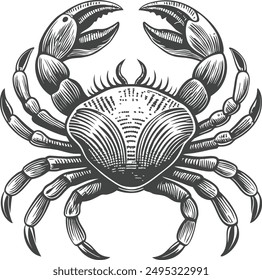 crab vector hand drawn sketch illustration