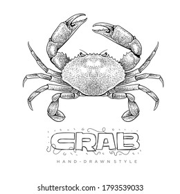 crab vector in hand drawn style. realistic animal illustrations