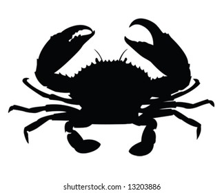 crab vector illustration