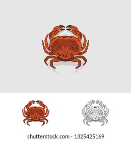 Crab vector illustration