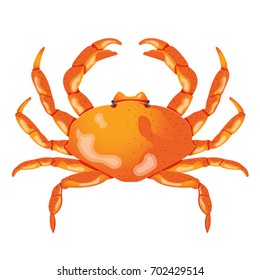 Crab Isolated On White Background Fresh Stock Photo 517288285 ...