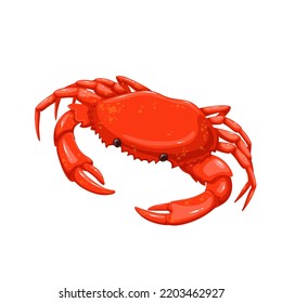 Crab vector illustration. Cartoon isolated seafood product and crustacean animal from sea or ocean beach with shell, claws and legs, single fresh marine crab for luxury restaurant menu on dinner