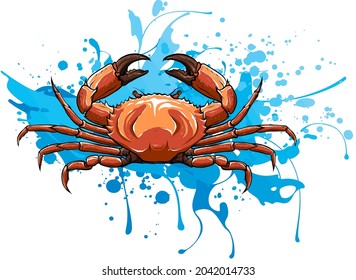 Crab vector illustration in cartoon style. Seafood product design.
