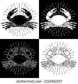 Crab. Vector illustration with crab and divergent rays. Used for poster, banner, web, t-shirt print, bag print, badges, flyer, logo design and more. 