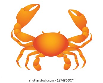 crab vector illustration isolated