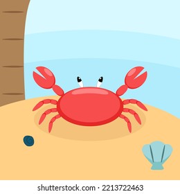 crab vector illustration on the beach, crab flat design, crab cartoon