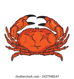 Crab vector illustration, perfect for Seafood Resaurant logo and product label design 