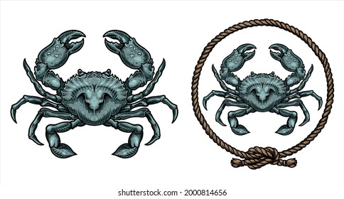 Crab Vector Illustration With Refined Details