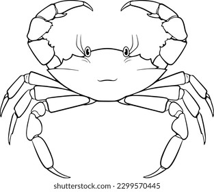 Crab vector illustration. Sea animal coloring book or page for children.