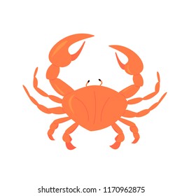 crab vector illustration. Sea creature in flat design. Shell crab icon isolated on white background.