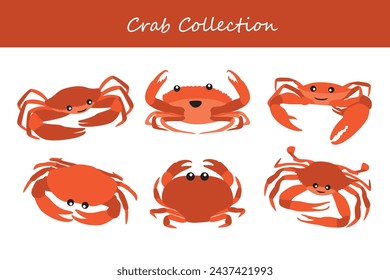 Crab Vektor Illustration Set. Süße Krabbe isoliert auf weißem Hintergrund.