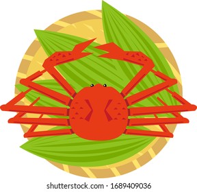 Crab vector illustration . Snow crab .